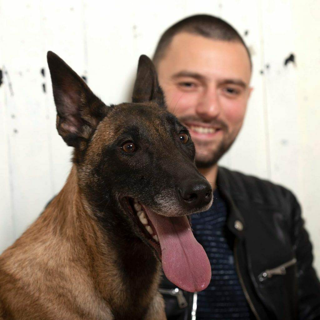 dog hotel in sofia