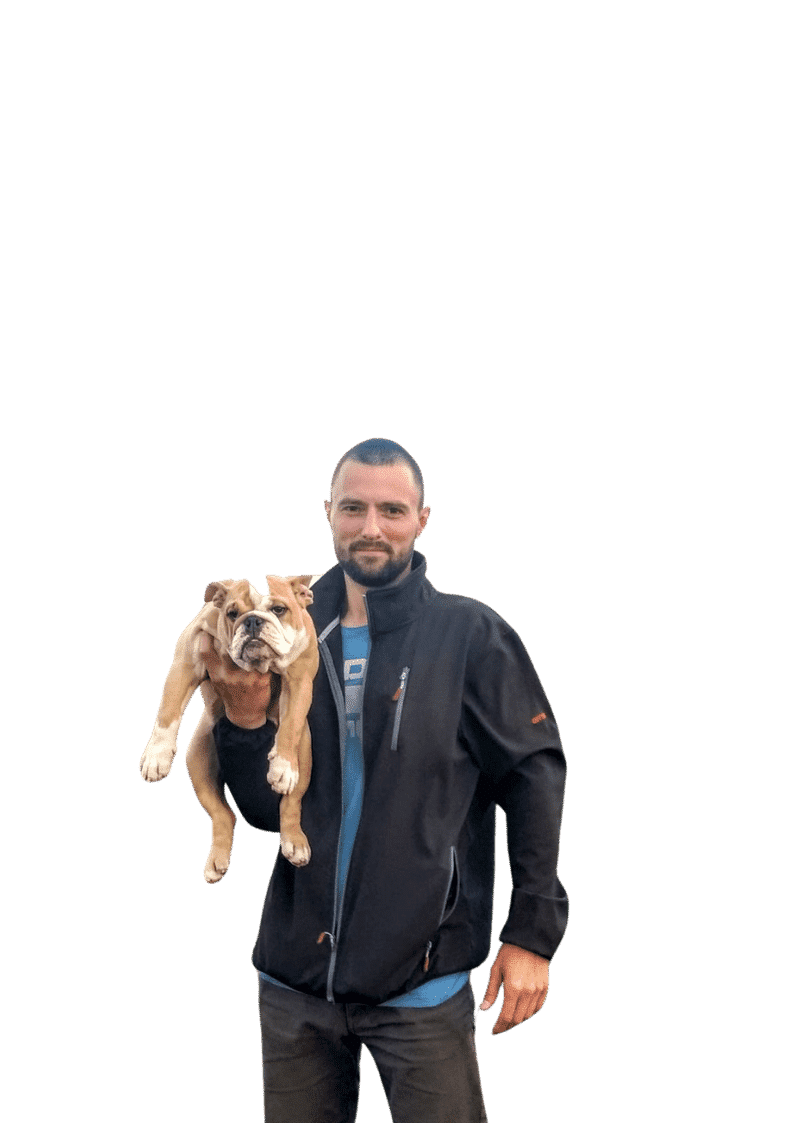 dog training services